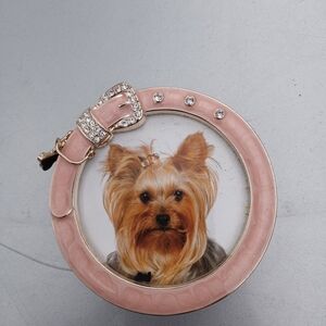 Pink and Gold Dog Collar for Yorkshire Terriers